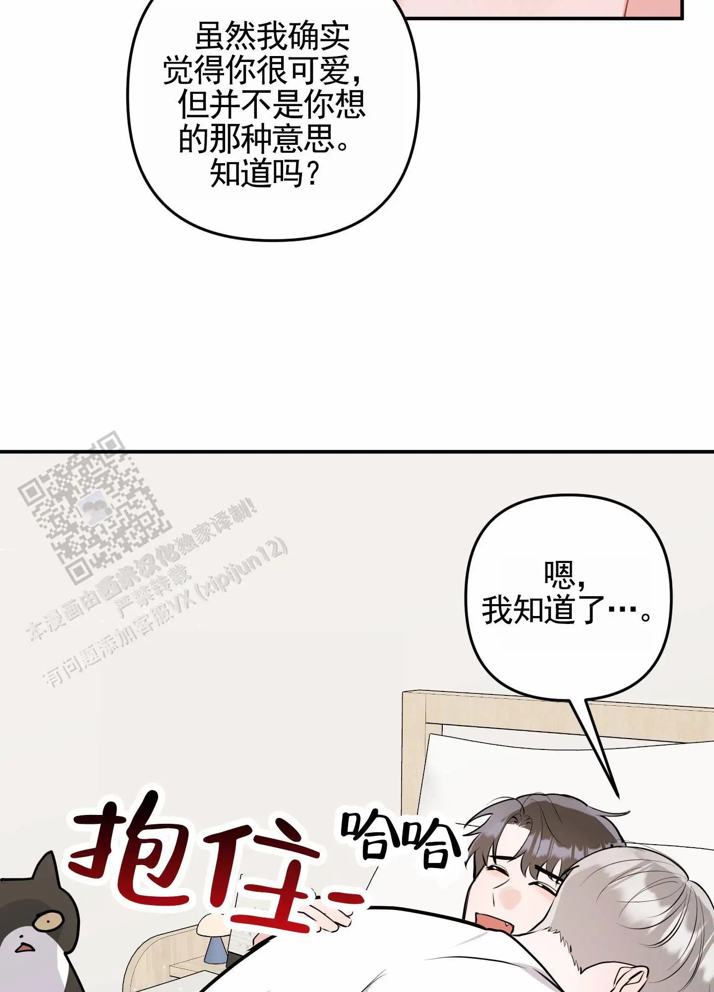 15.jpg