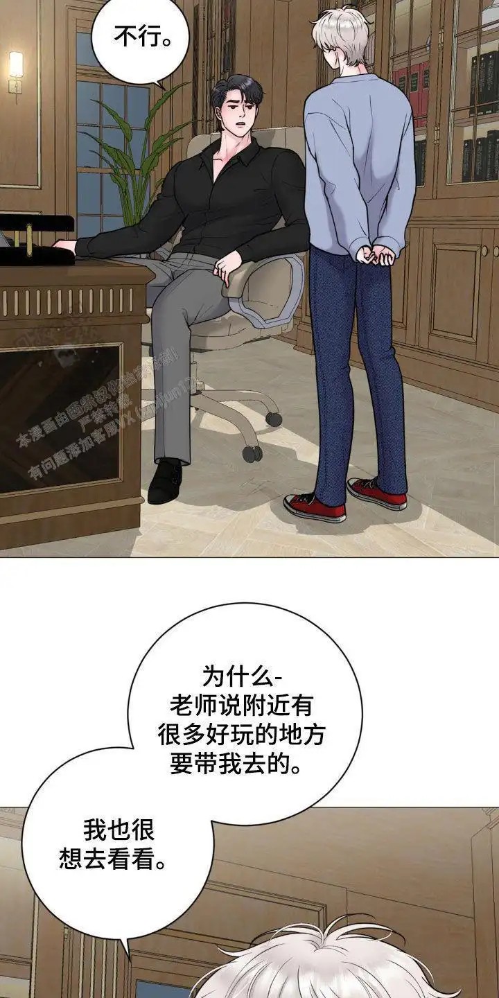 11.jpg