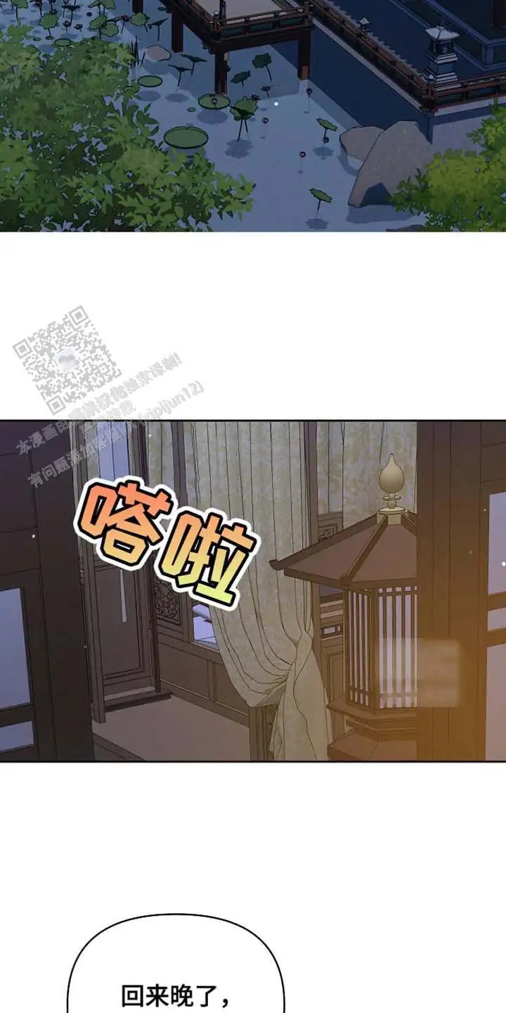 14.jpg