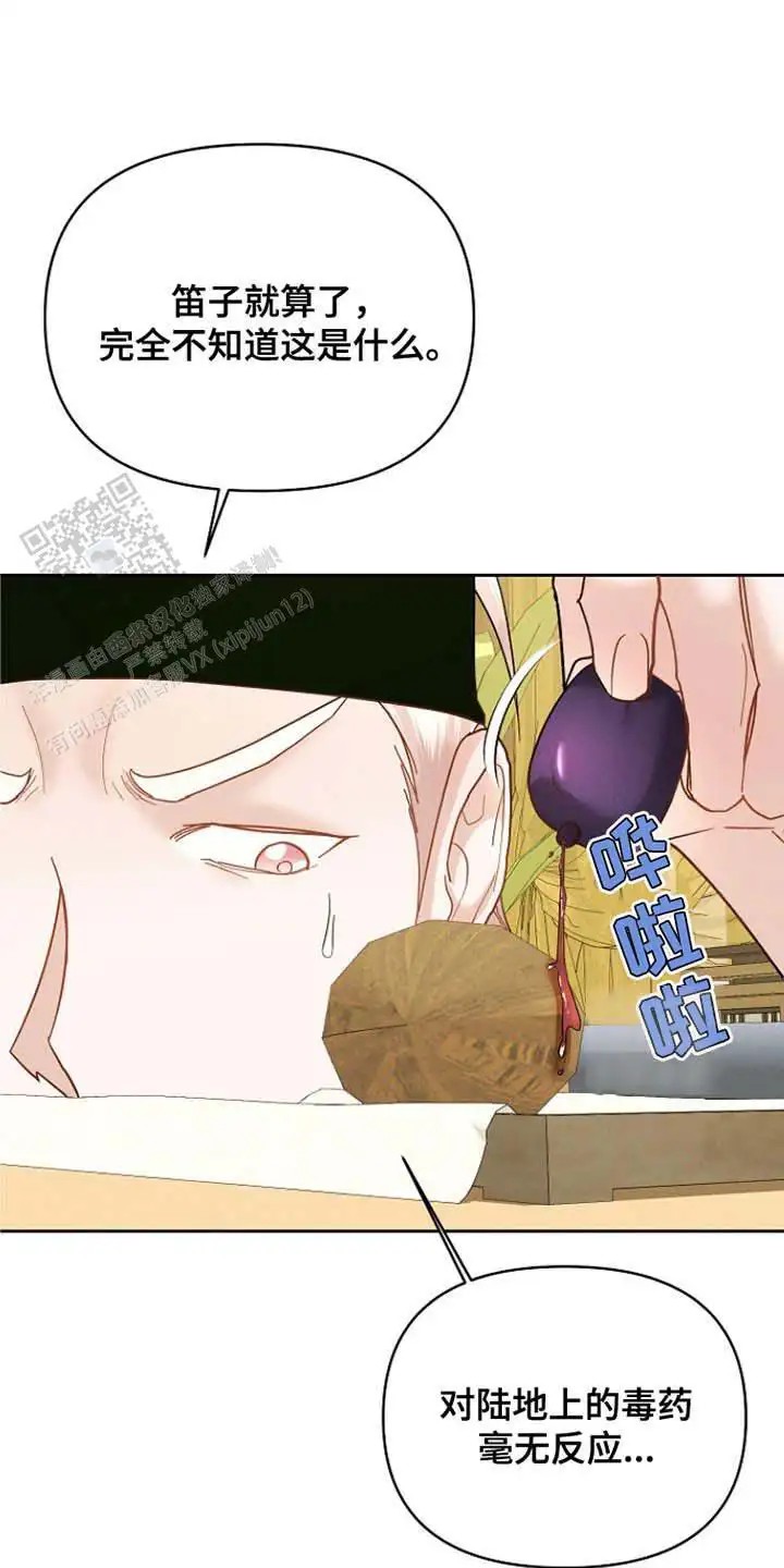 14.jpg