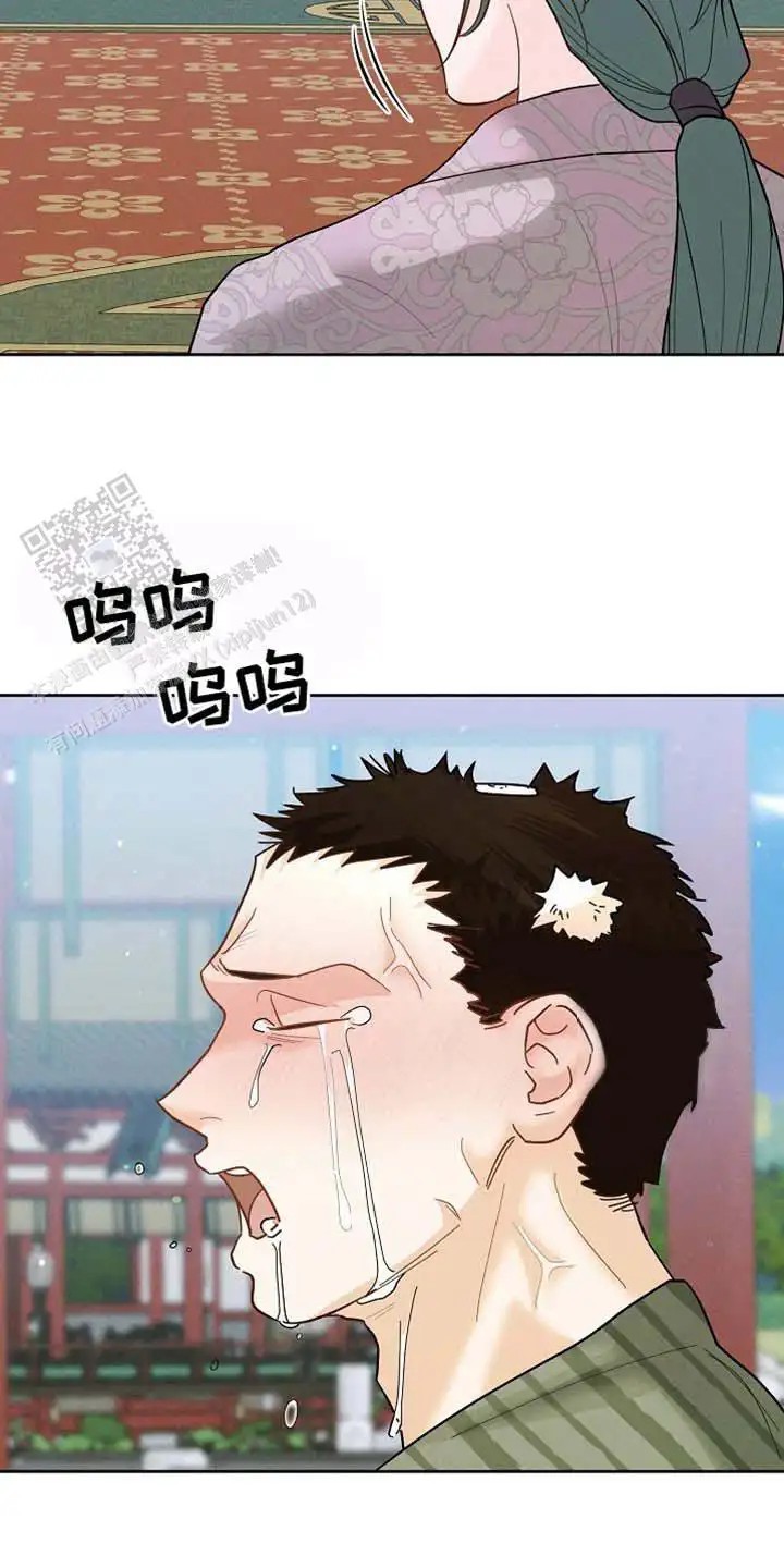 29.jpg