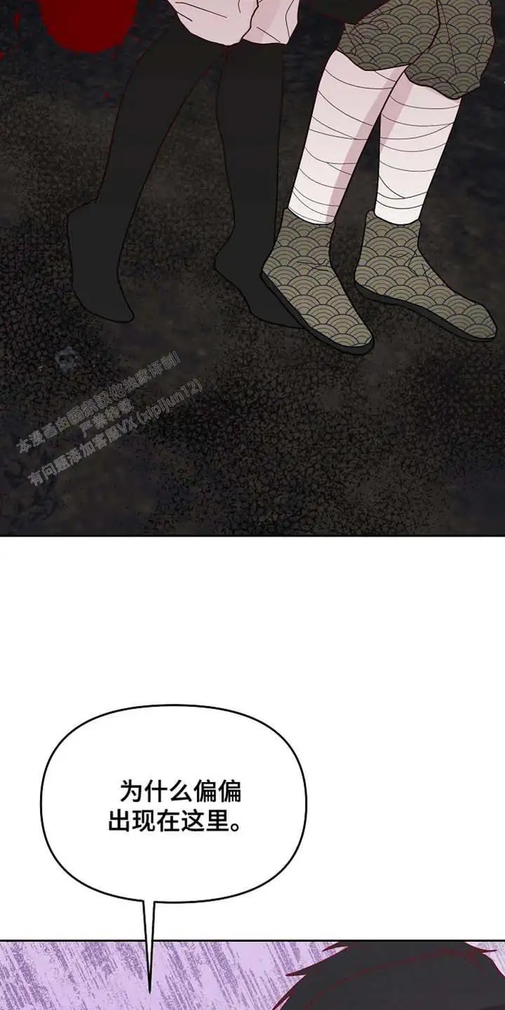27.jpg