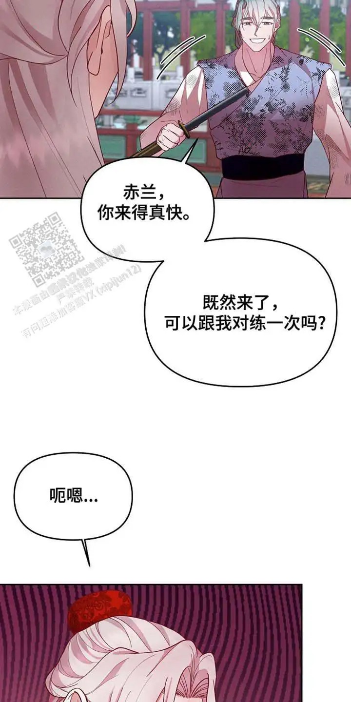 21.jpg