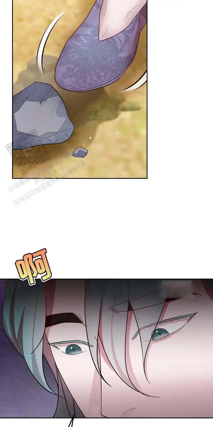 25.jpg