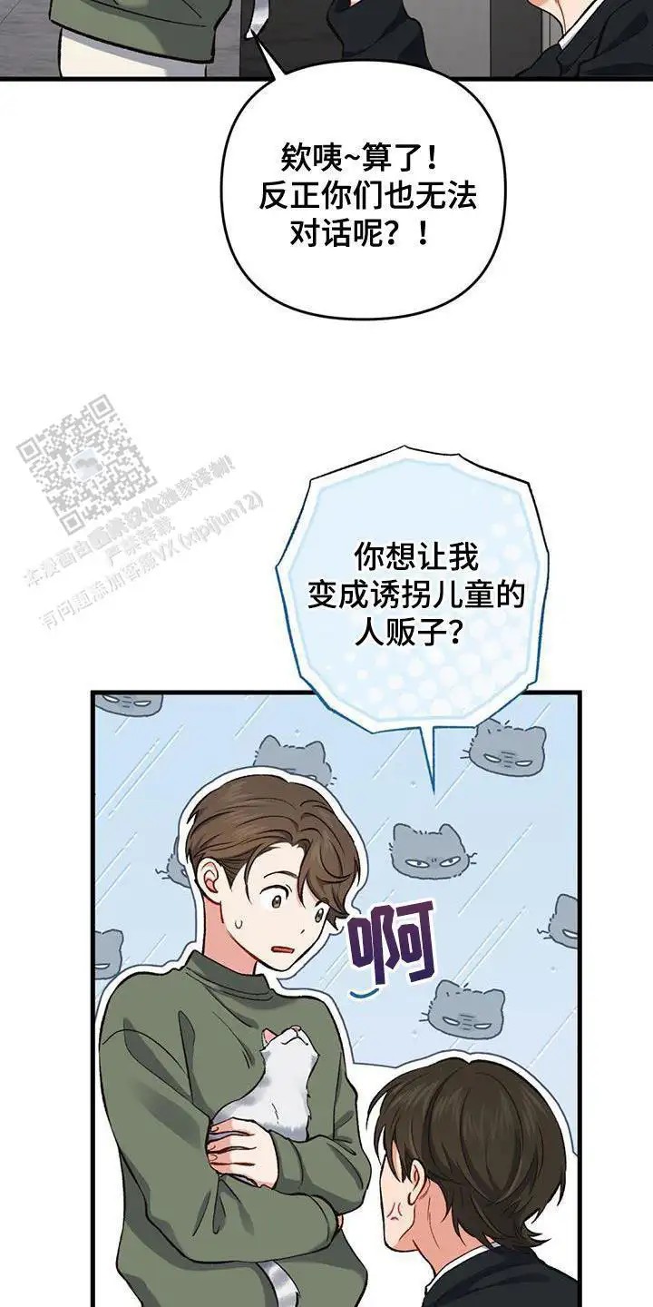 40.jpg