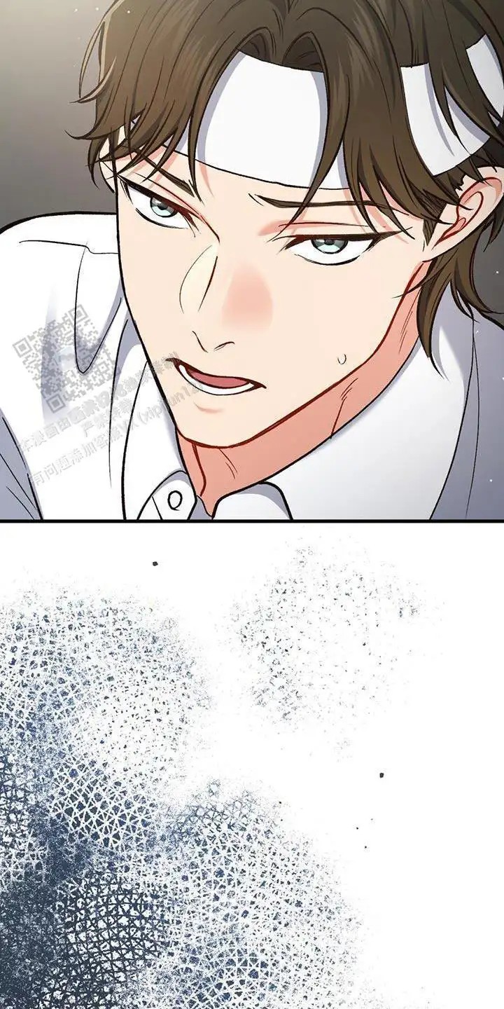 41.jpg