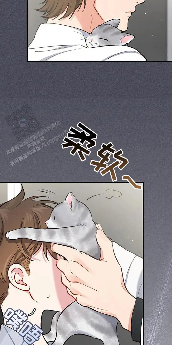 21.jpg