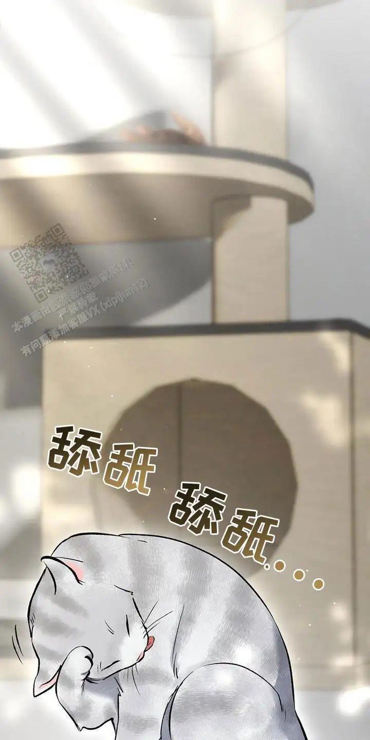 45.jpg