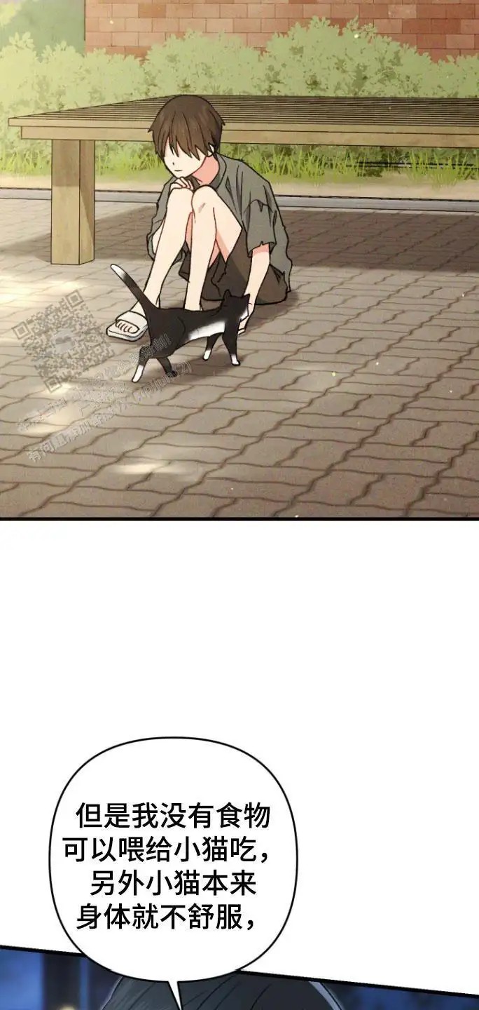35.jpg