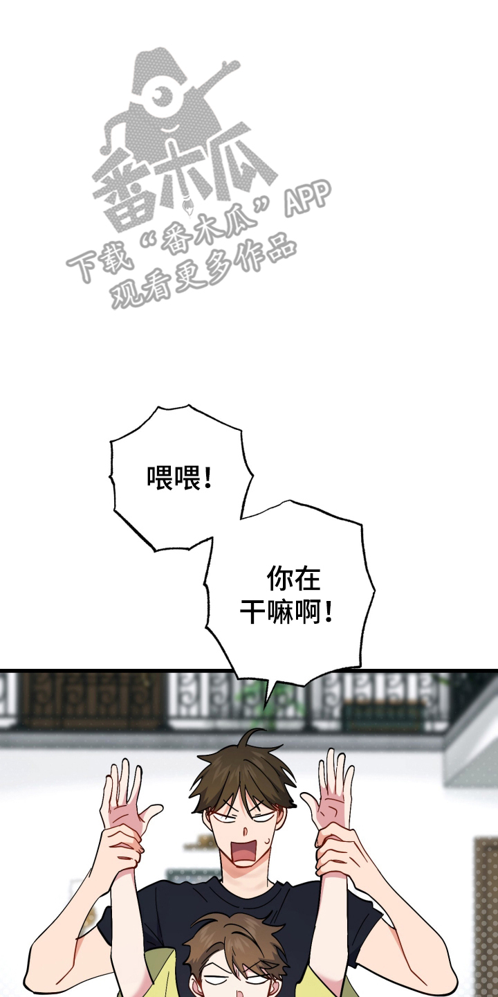 20.jpg