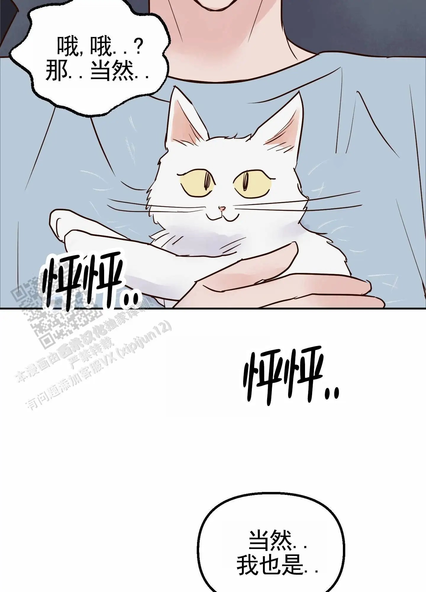 43.jpg
