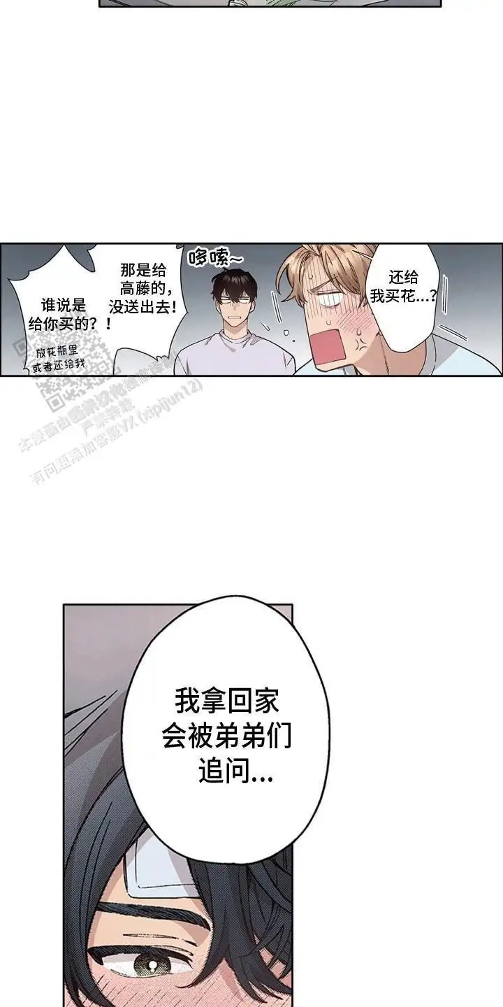 13.jpg