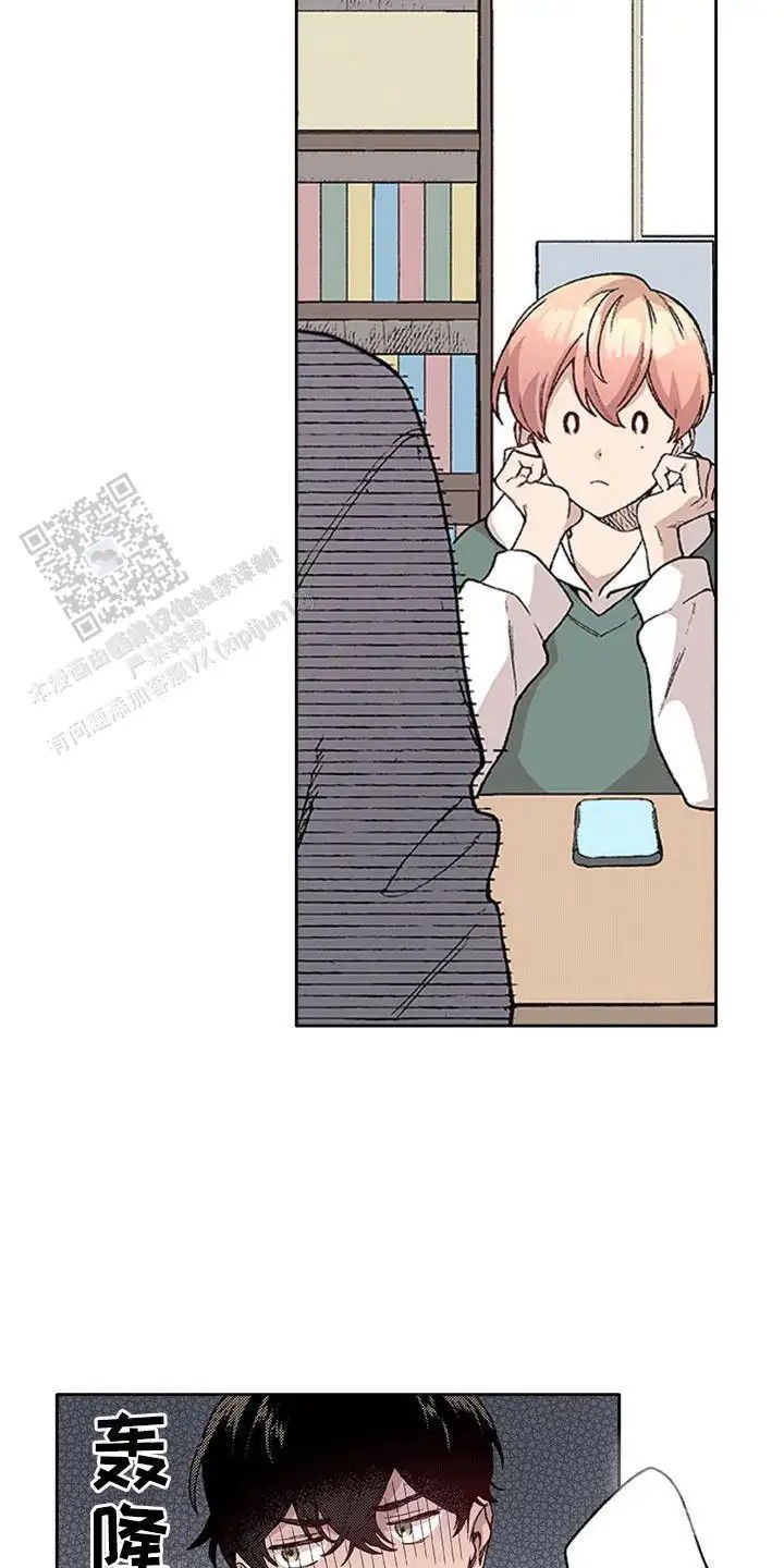 23.jpg