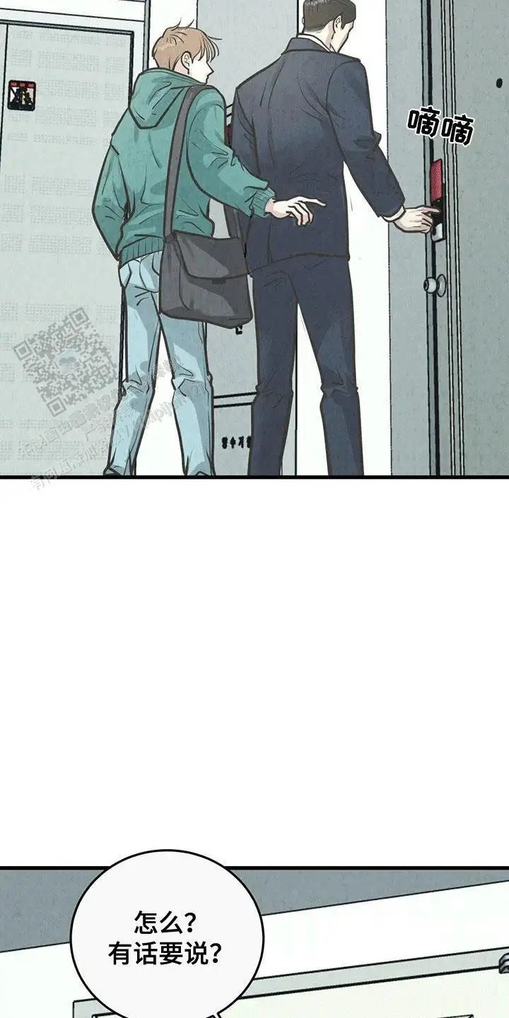 24.jpg
