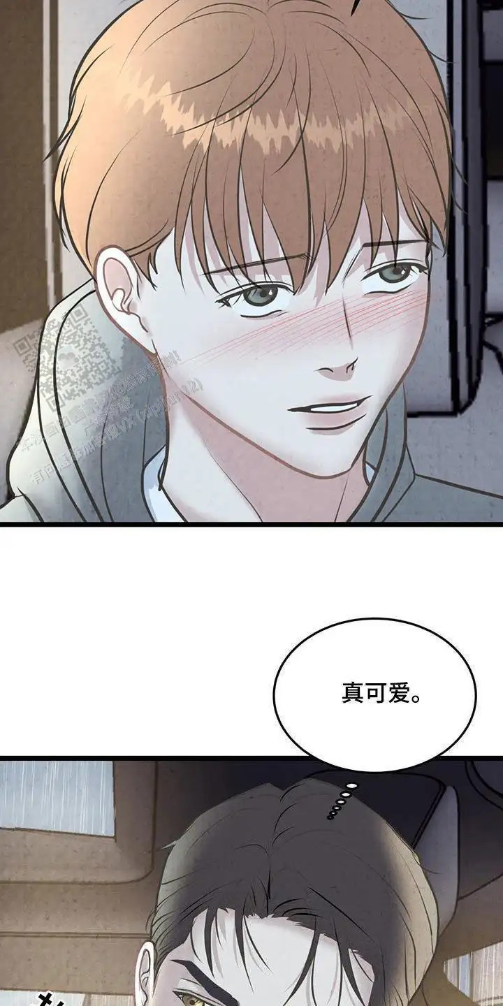 19.jpg