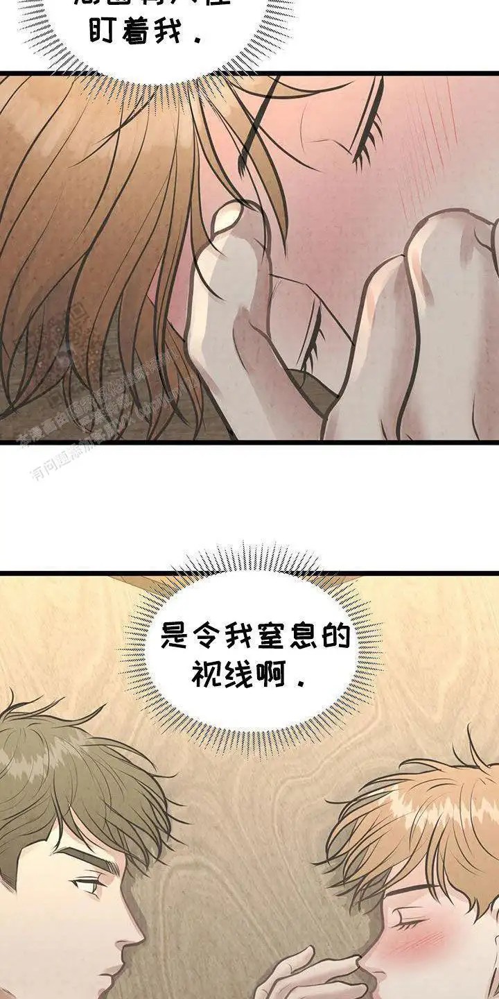 21.jpg