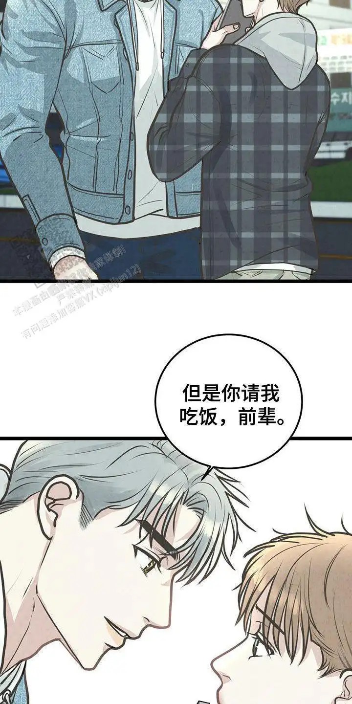 26.jpg