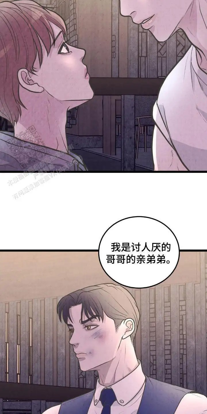 24.jpg