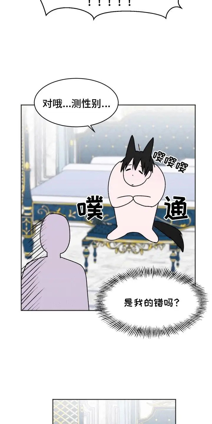 18.jpg