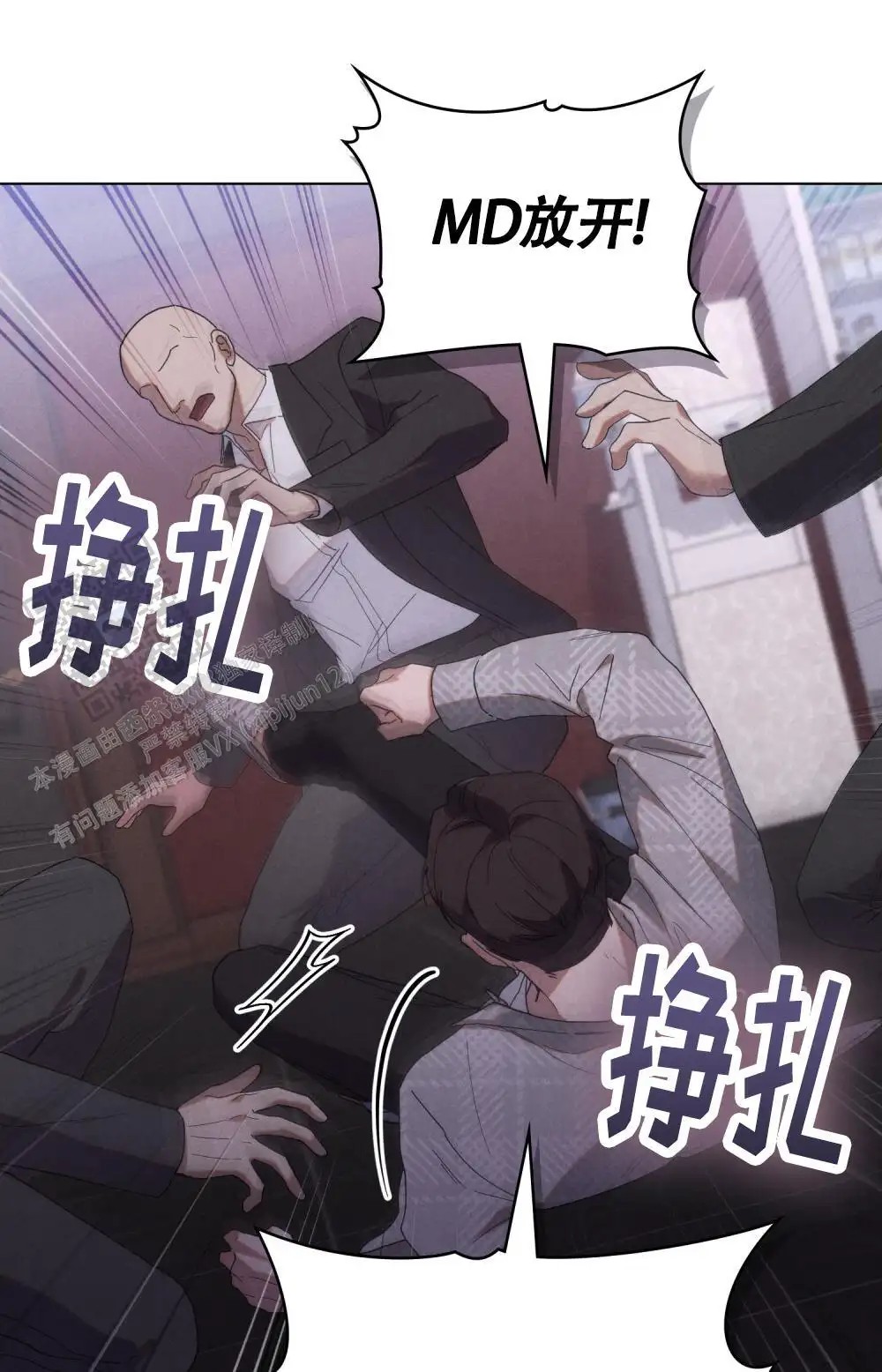 17.jpg