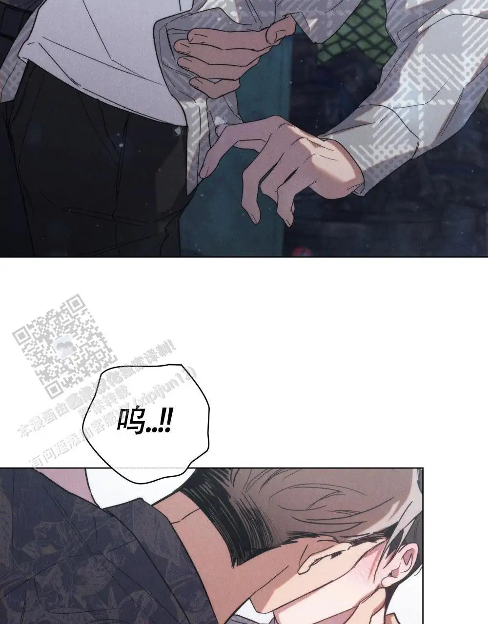 41.jpg