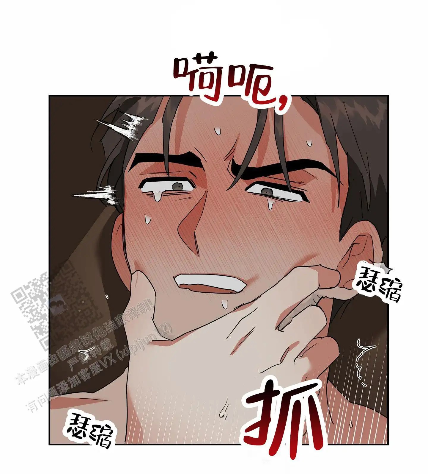 26.jpg