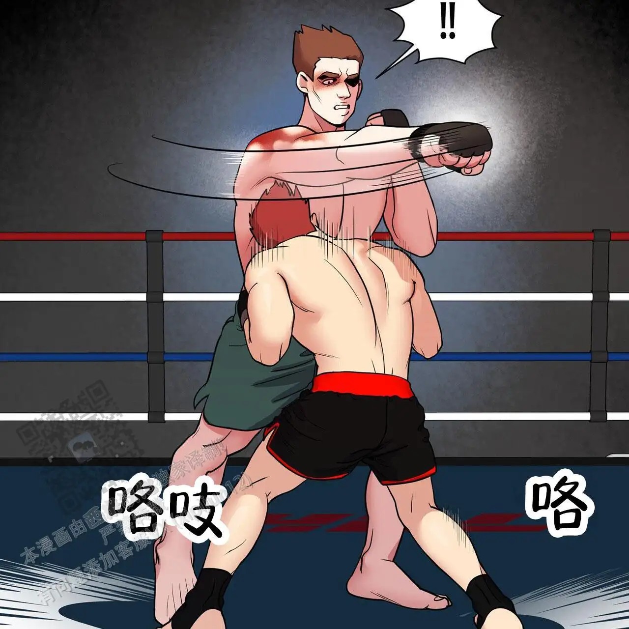 5.jpg