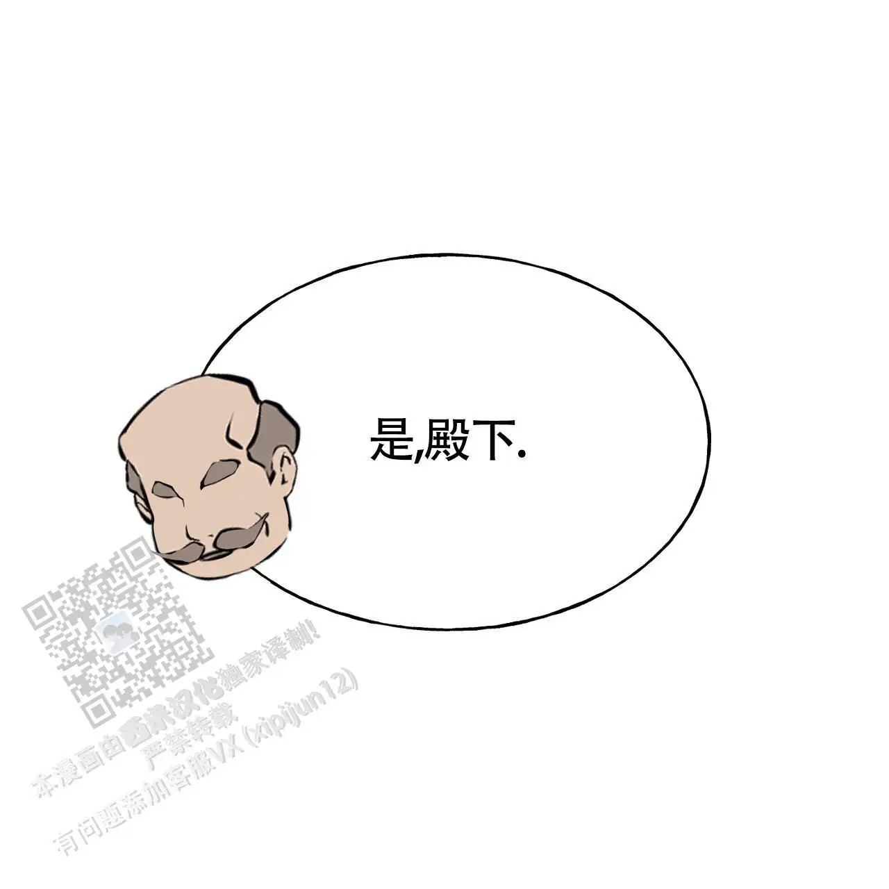 52.jpg