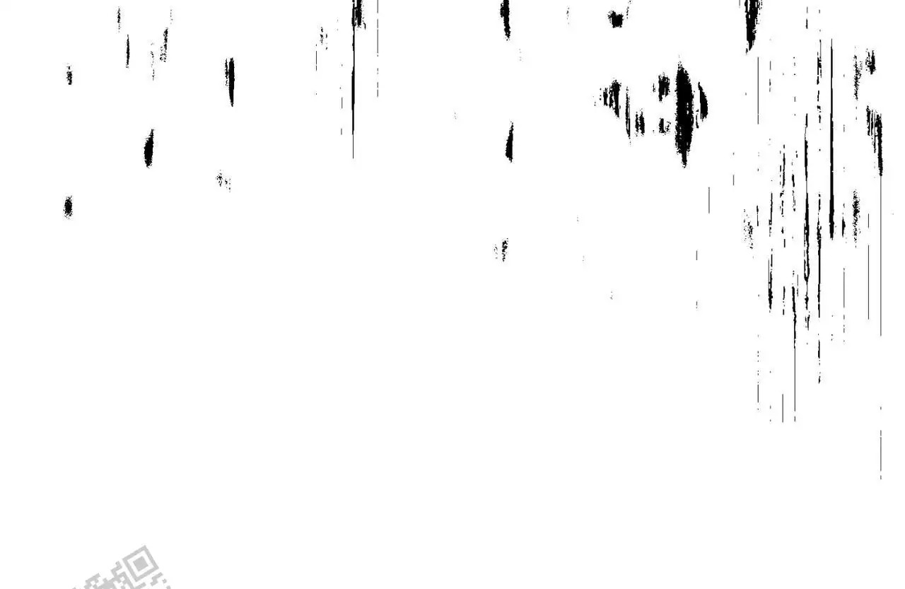 65.jpg