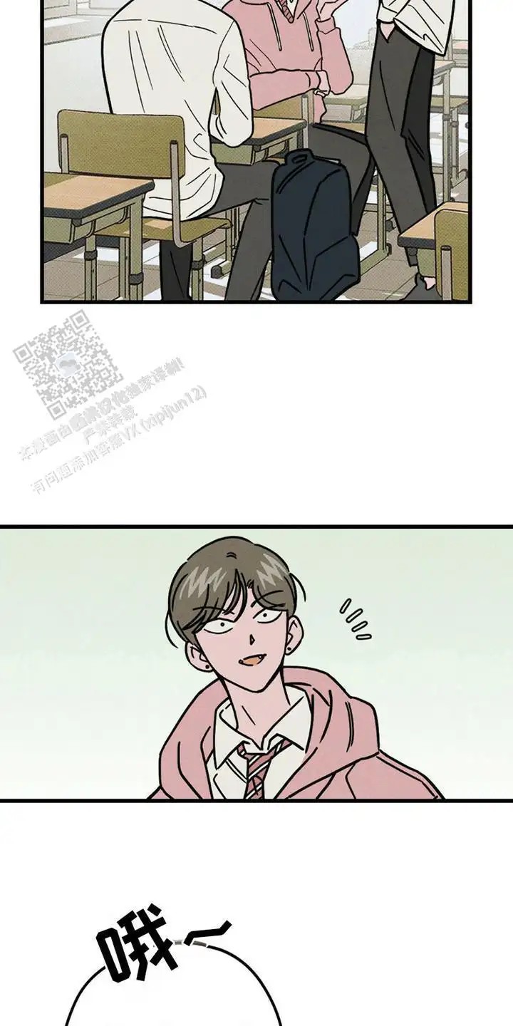 14.jpg