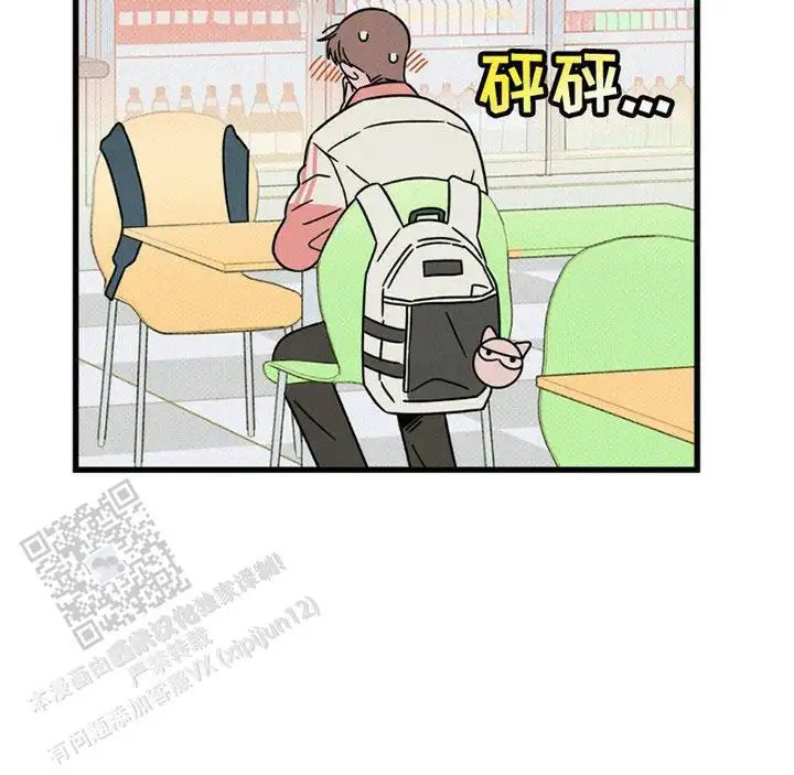 22.jpg