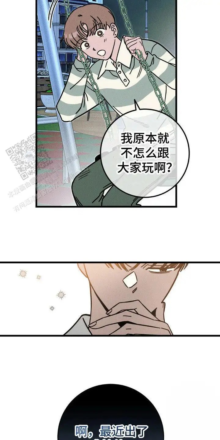 15.jpg
