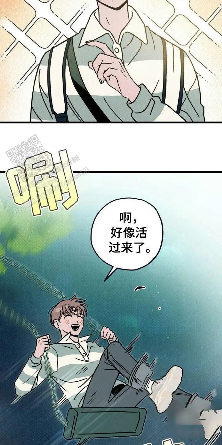 11.jpg