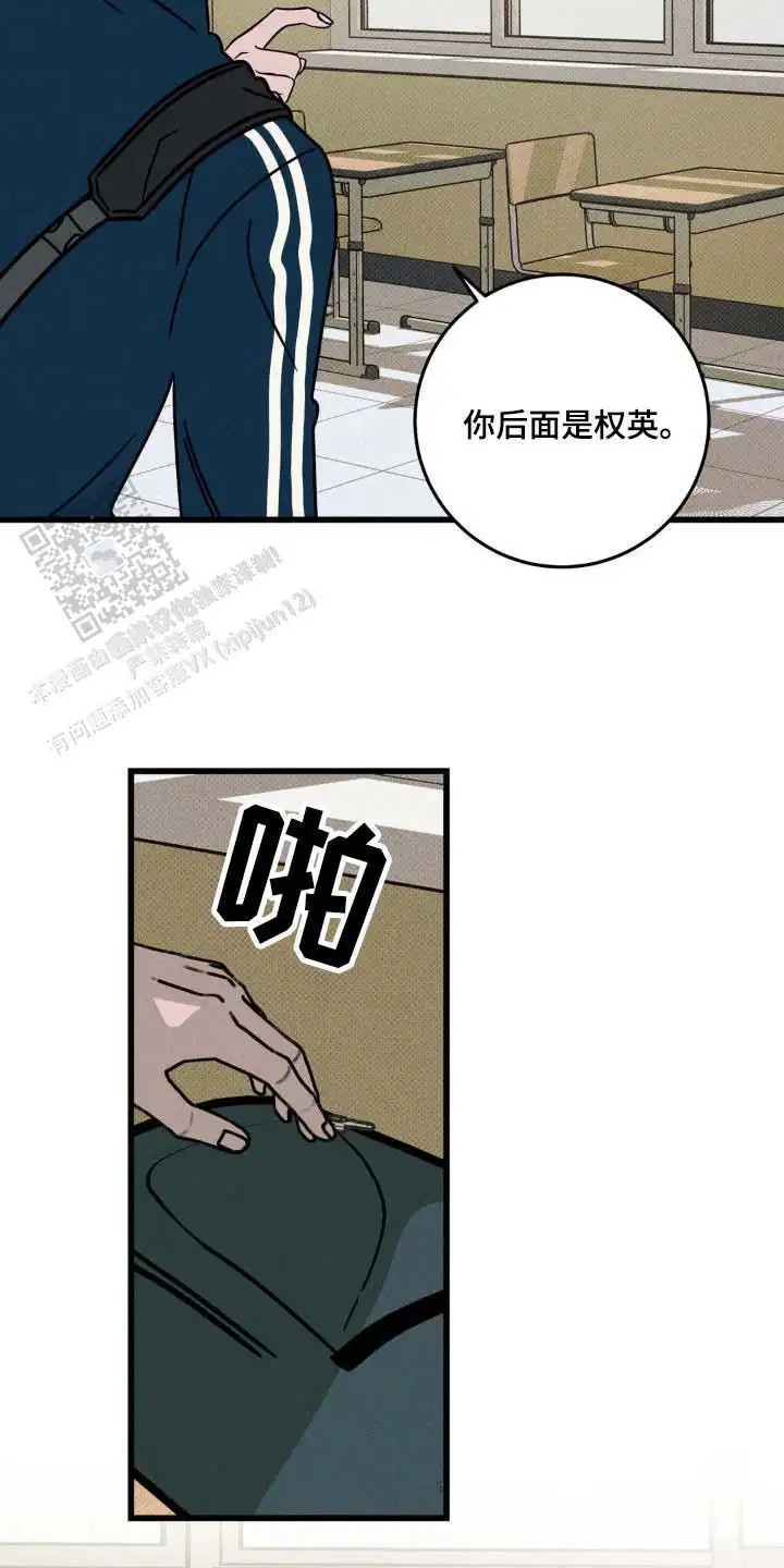 14.jpg