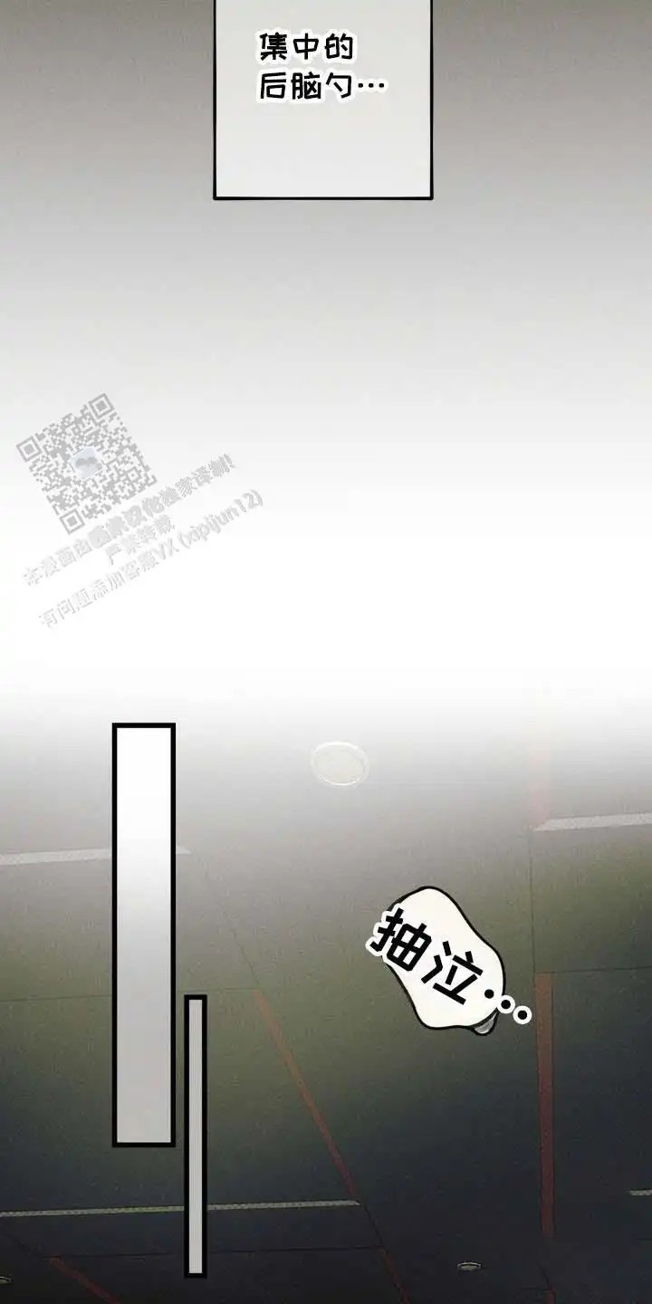 12.jpg