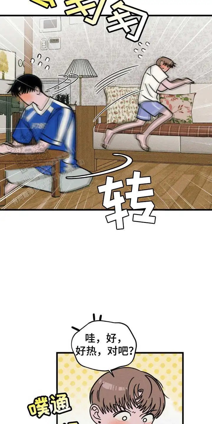 15.jpg