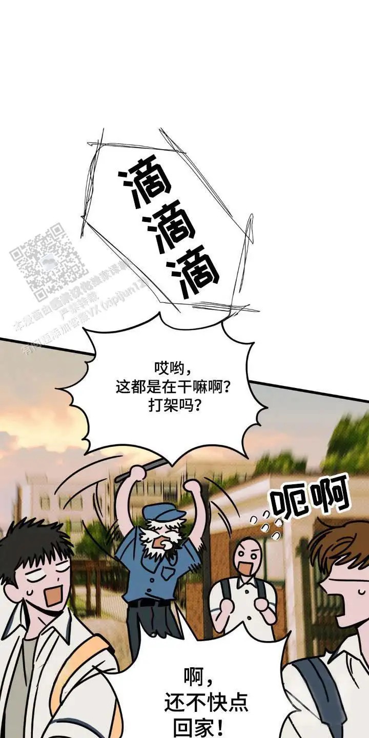 28.jpg