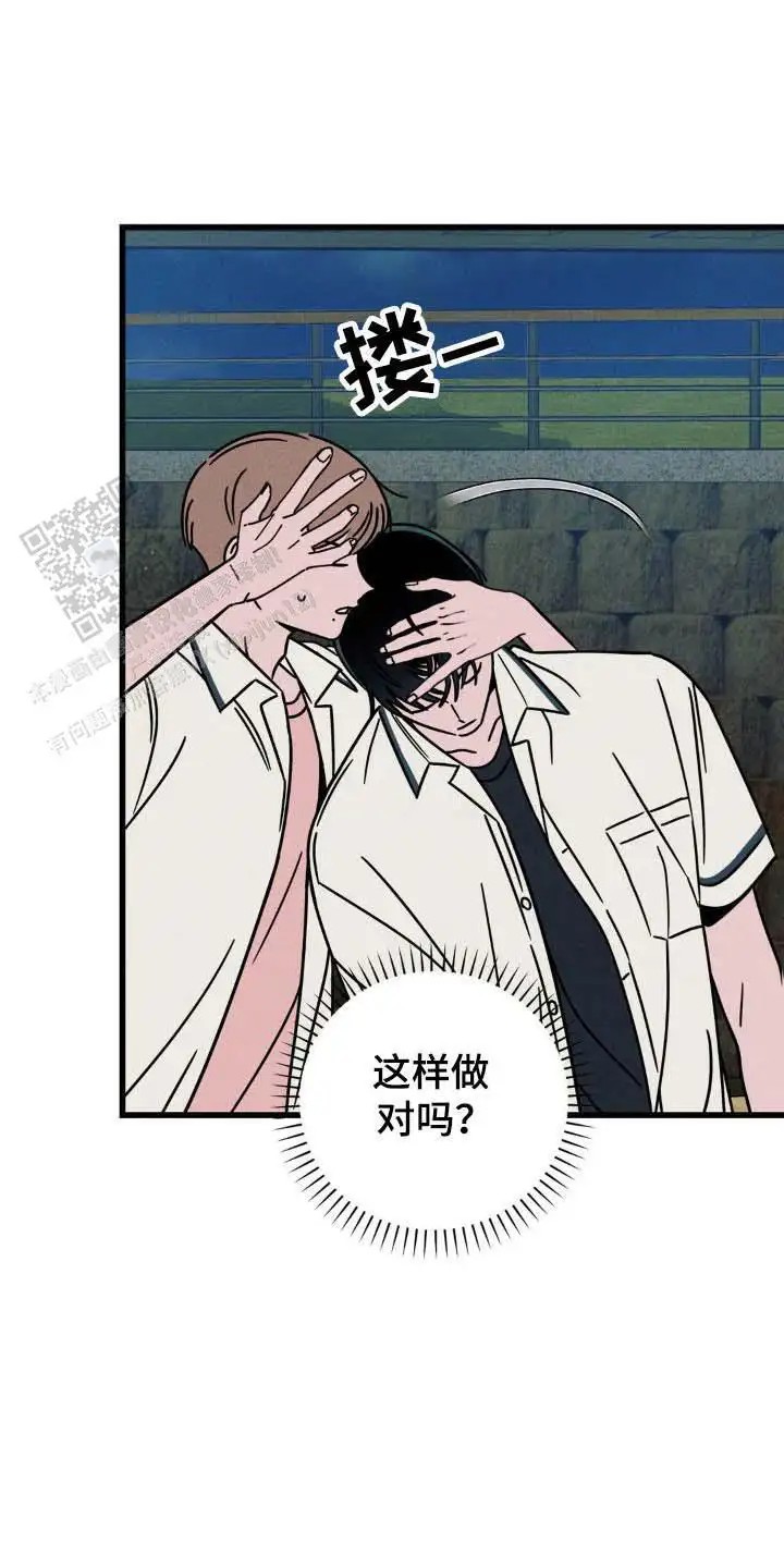 16.jpg