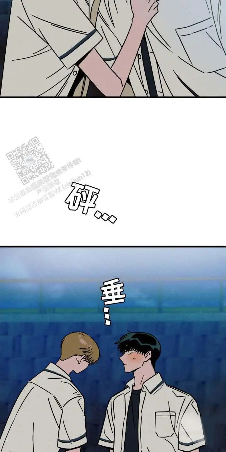 22.jpg