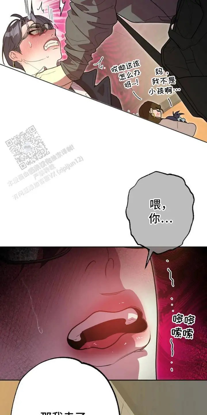 17.jpg