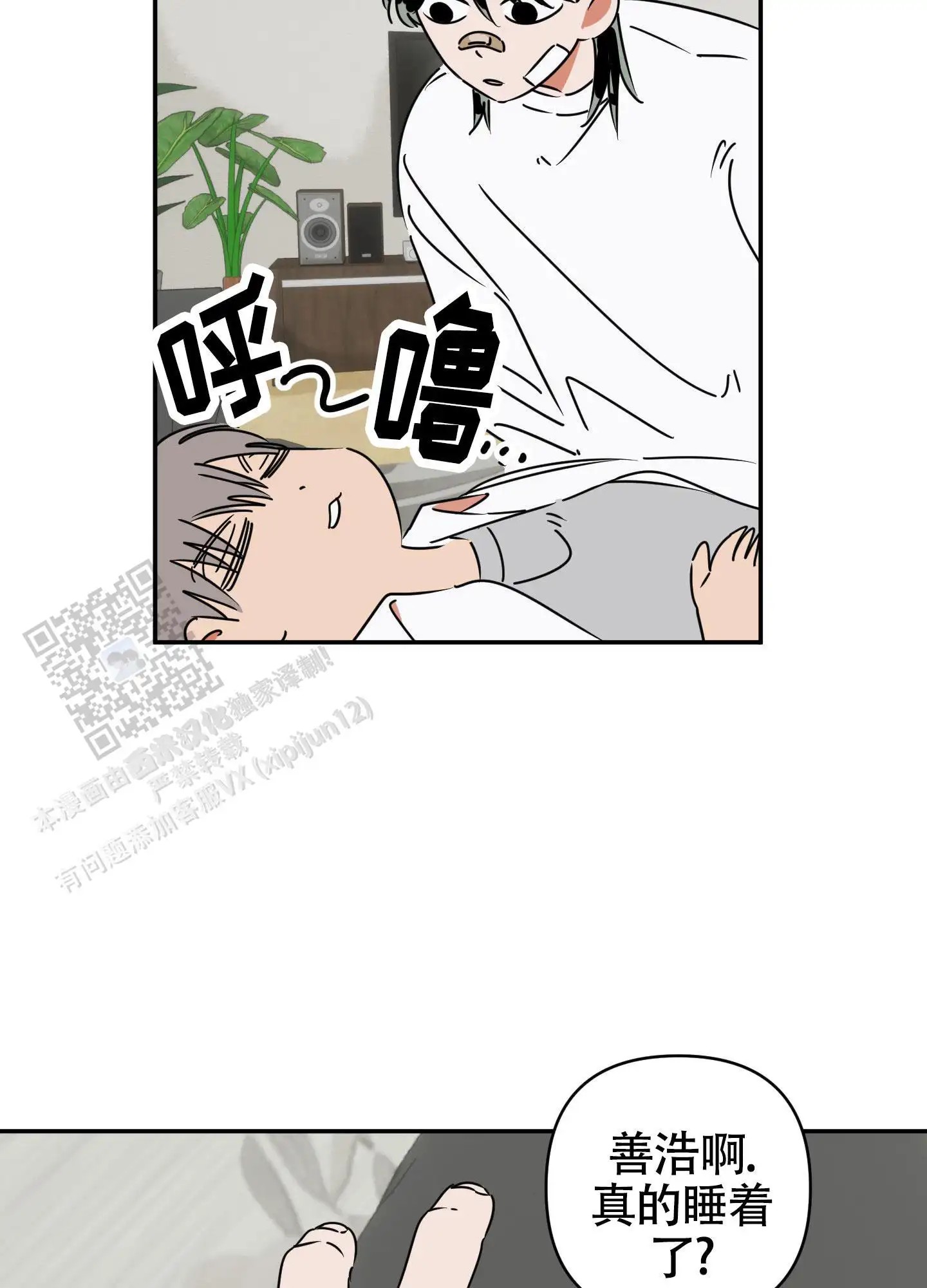 13.jpg