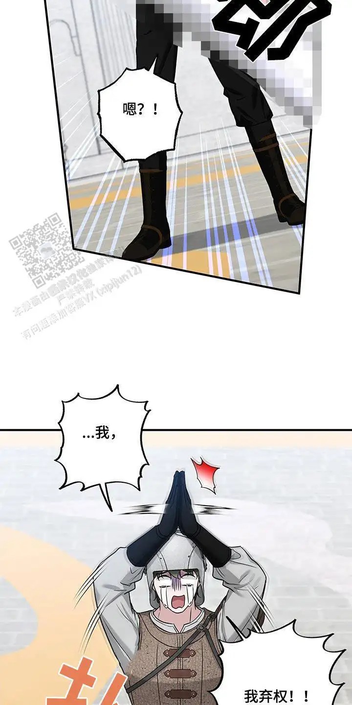 23.jpg