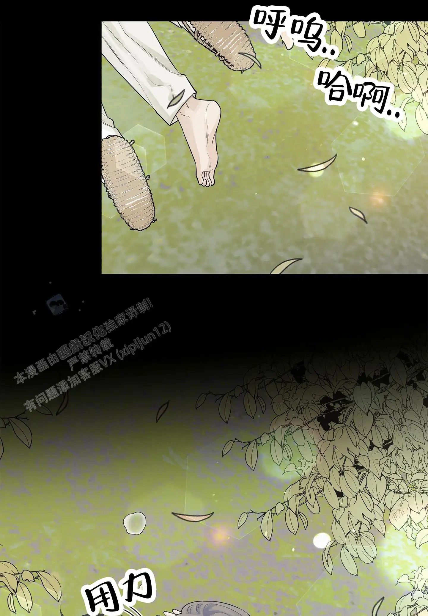11.jpg