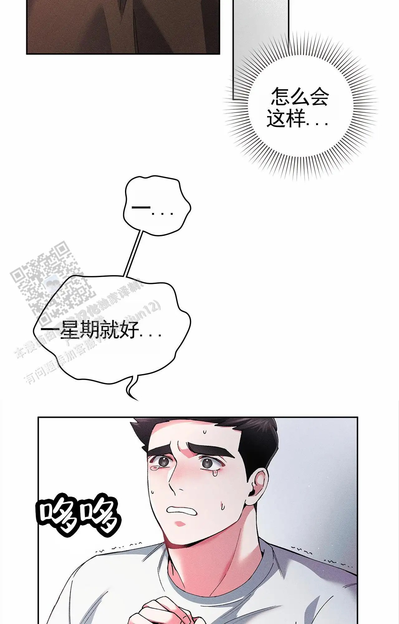 28.jpg