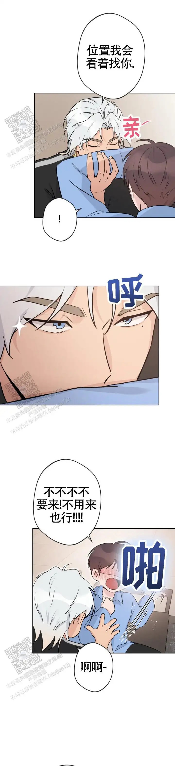 11.jpg