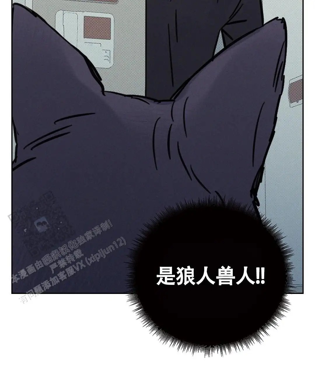 49.jpg
