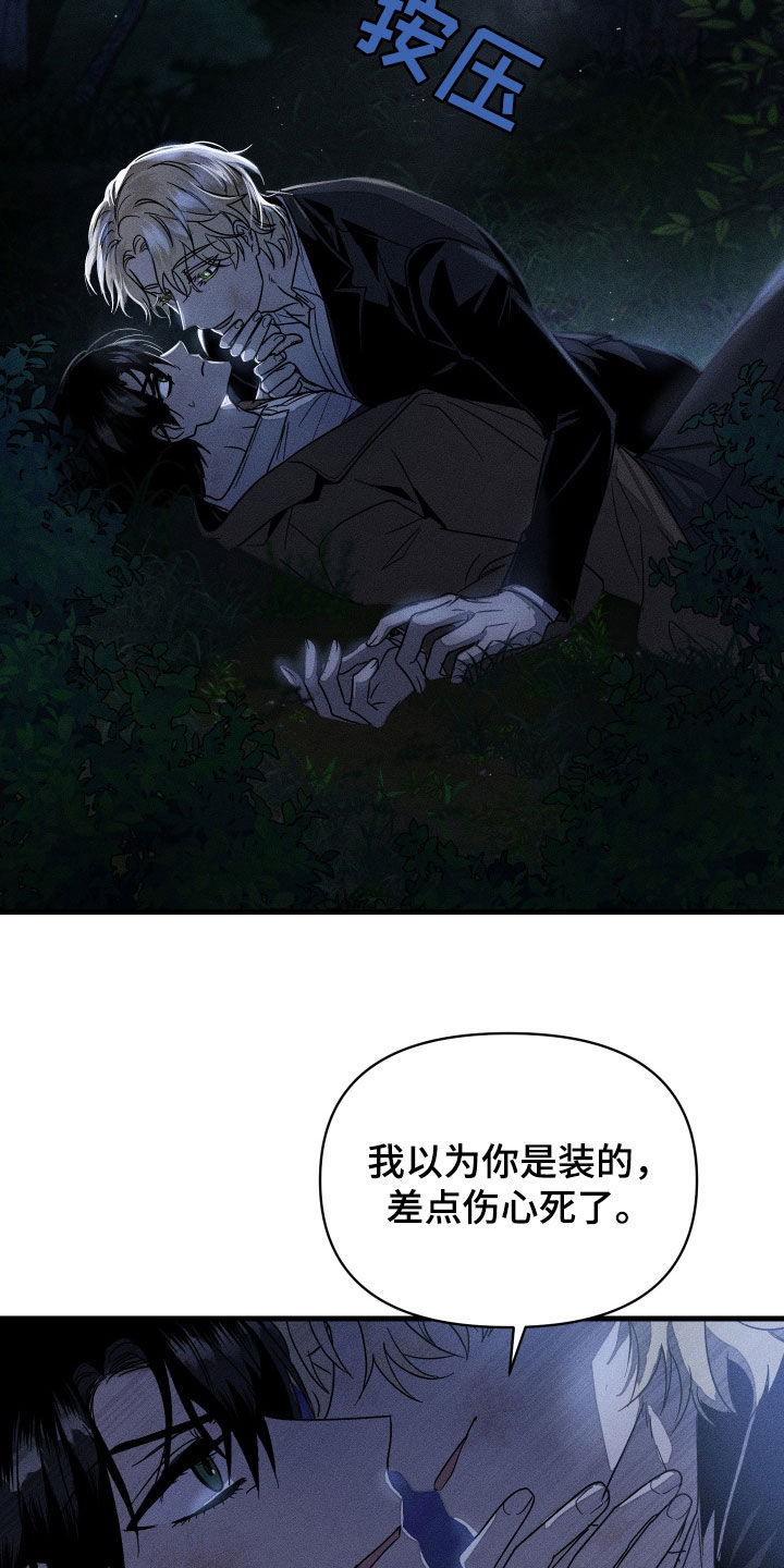 11.jpg