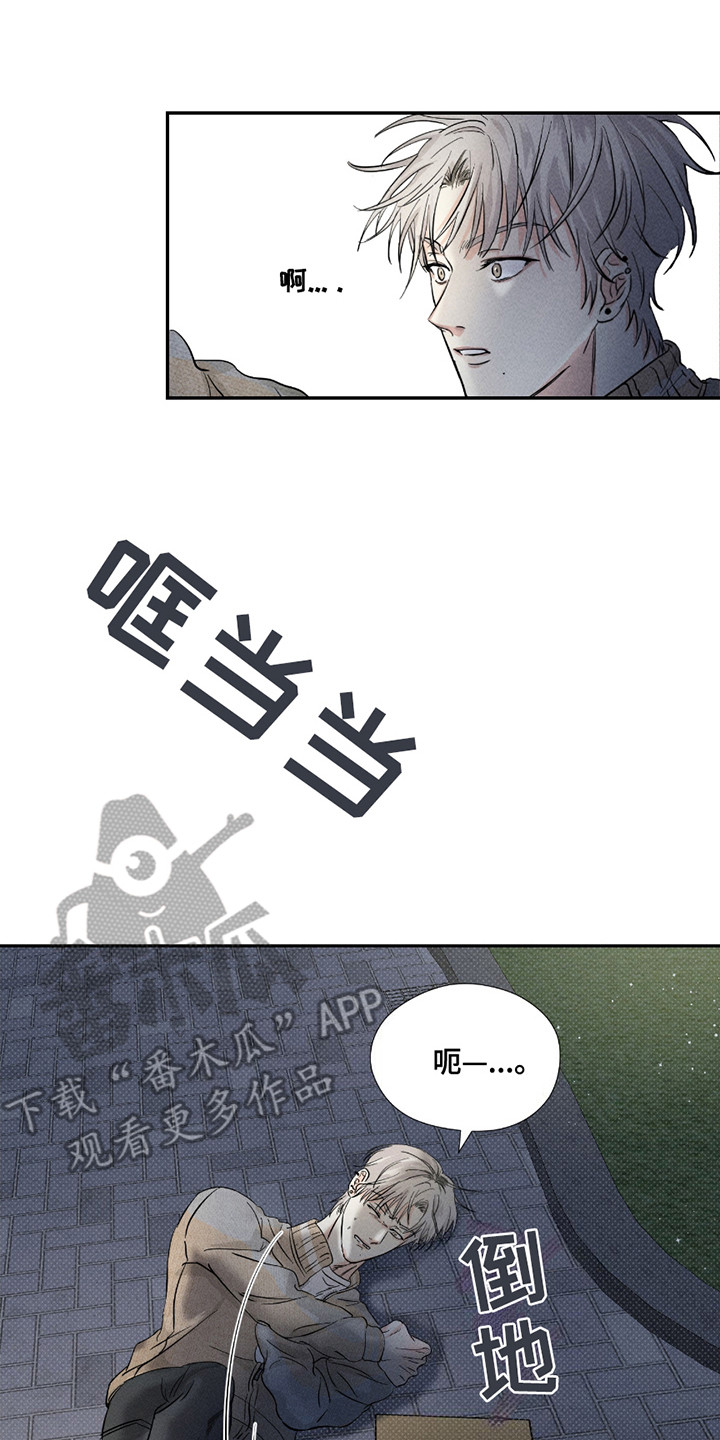 20.jpg