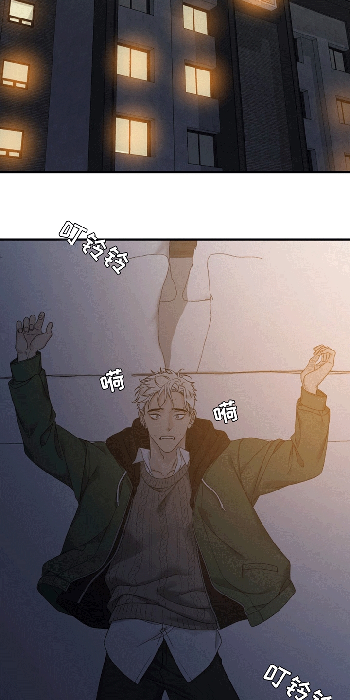 13.jpg