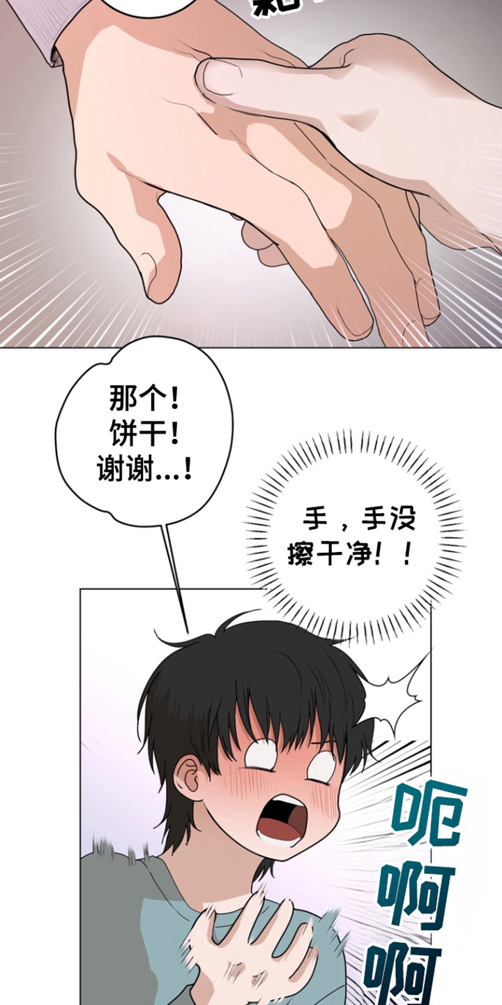 15.jpg